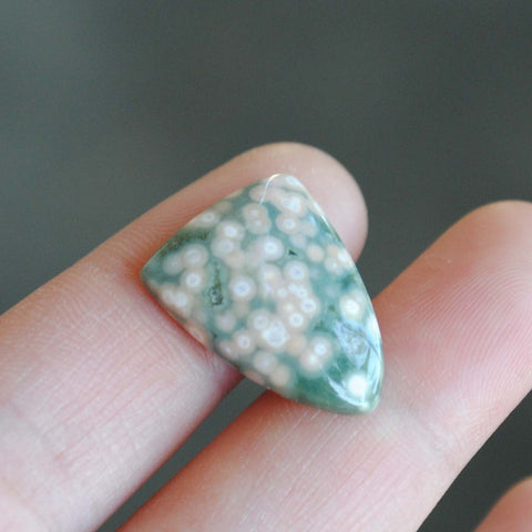 Small Shield Ocean Jasper cabochon