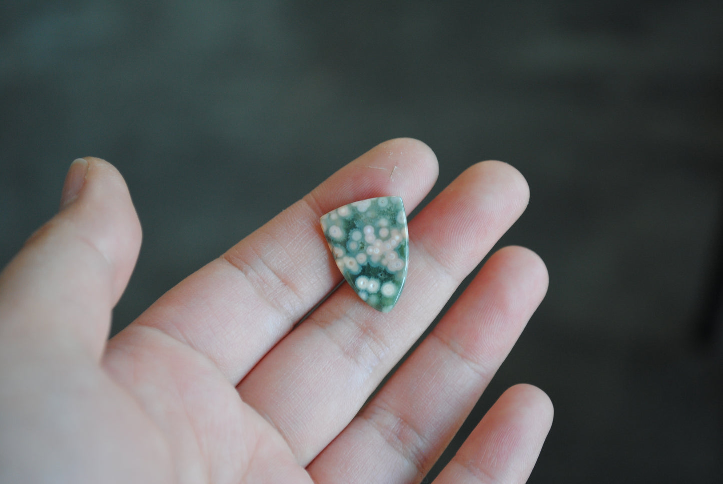 Small Shield Ocean Jasper cabochon