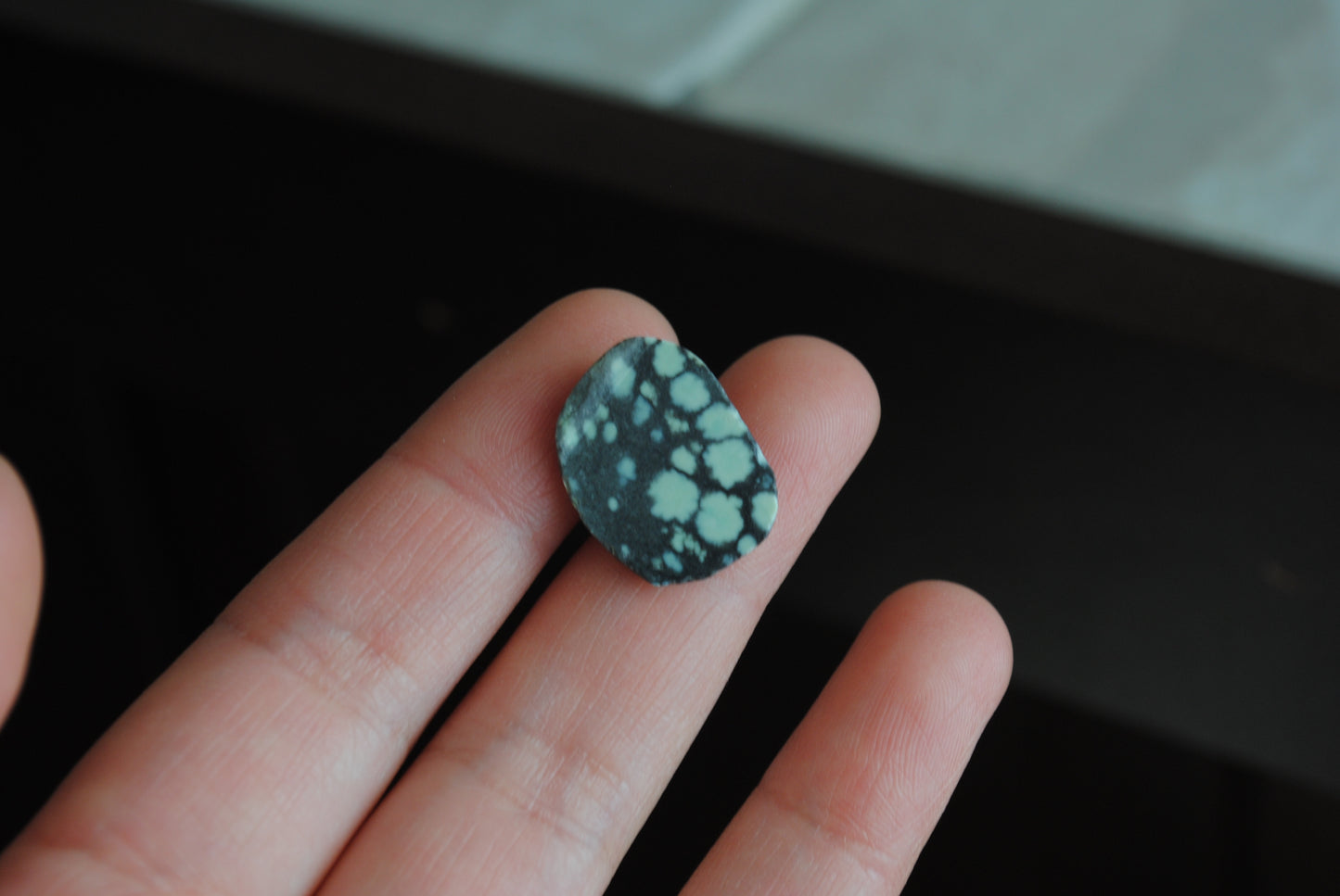 Treefrog cabochon