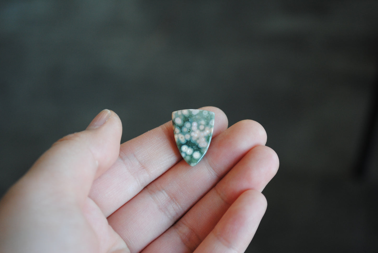 Small Shield Ocean Jasper cabochon