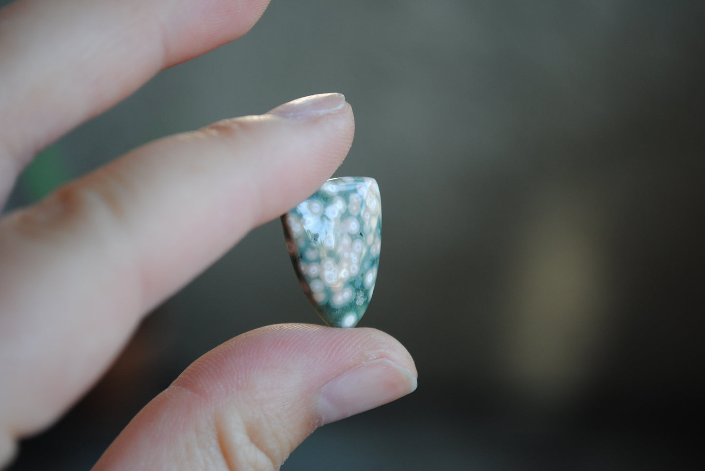 Small Shield Ocean Jasper cabochon