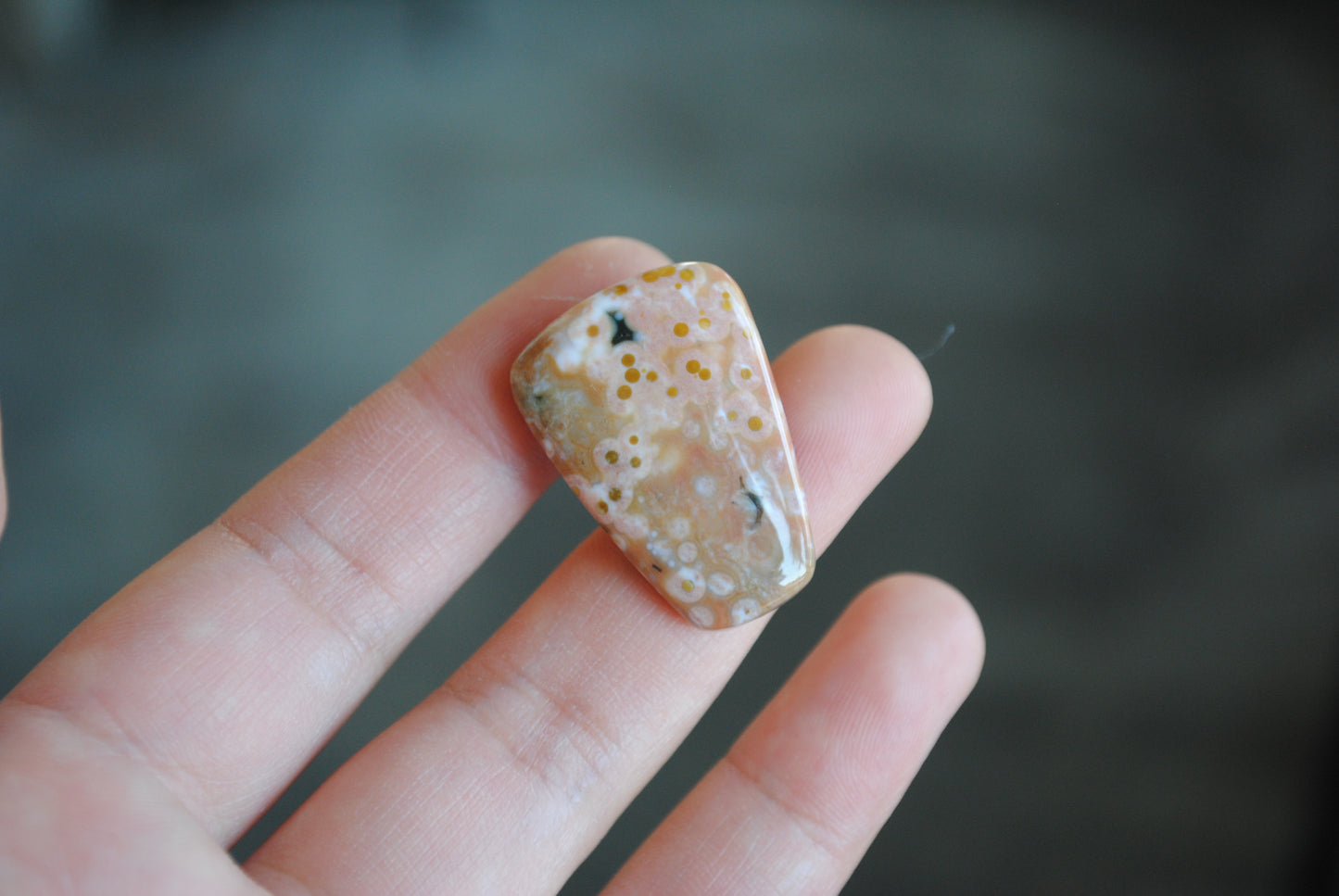 Ocean Jasper cabochon