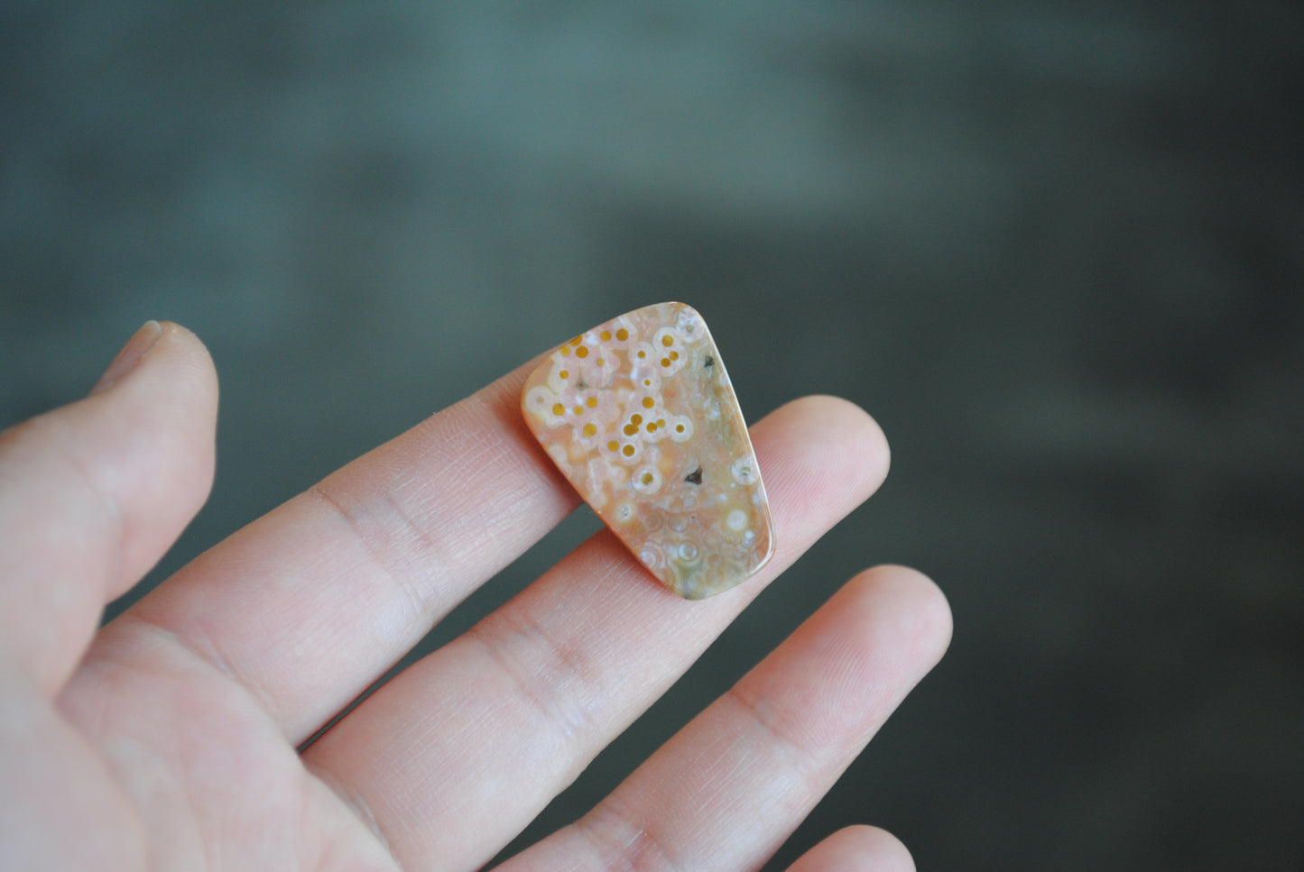Ocean Jasper cabochon