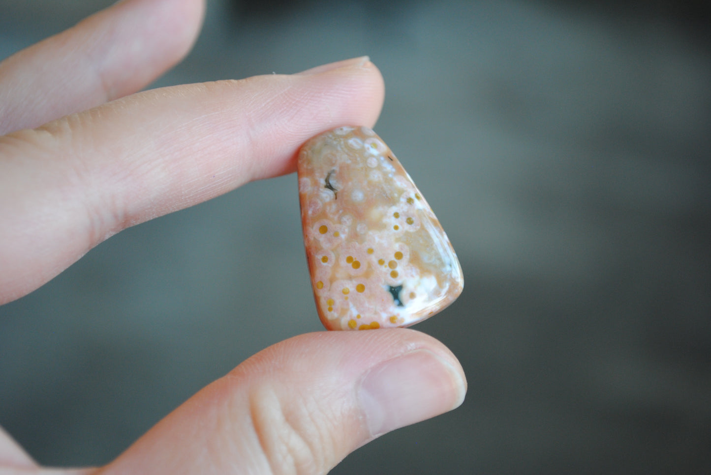 Ocean Jasper cabochon