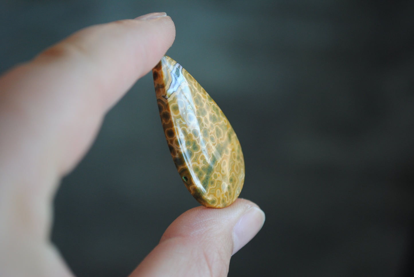 Large Drop Ocean Jasper cabochon