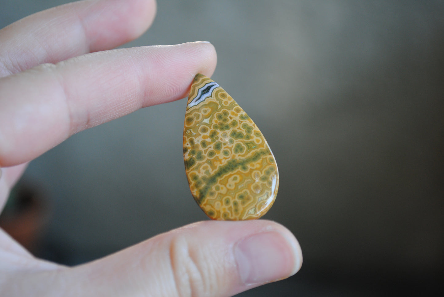 Large Drop Ocean Jasper cabochon