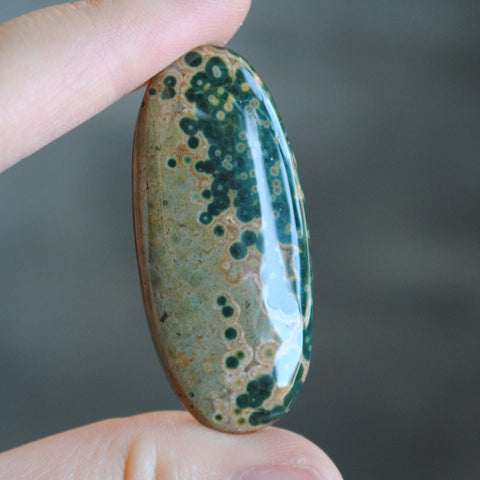 Large Ocean Jasper cabochon