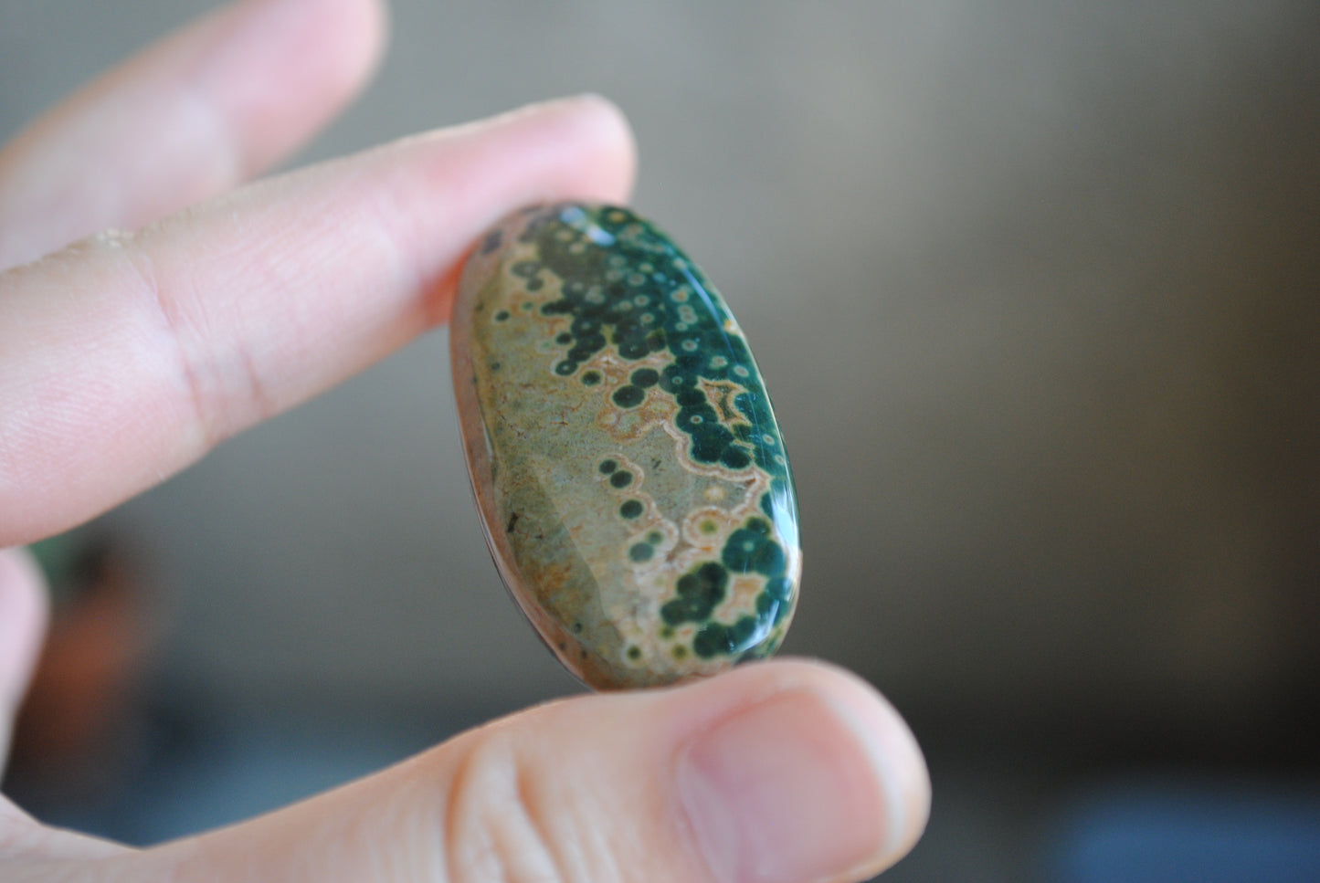 Large Ocean Jasper cabochon