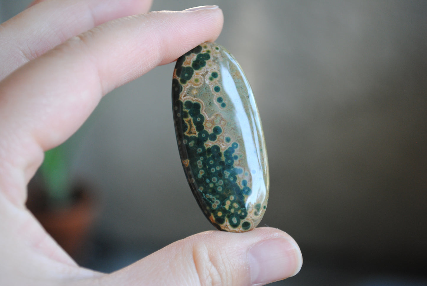 Large Ocean Jasper cabochon