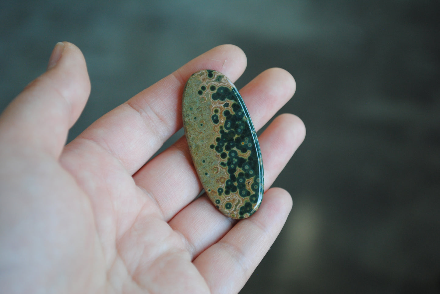 Large Ocean Jasper cabochon