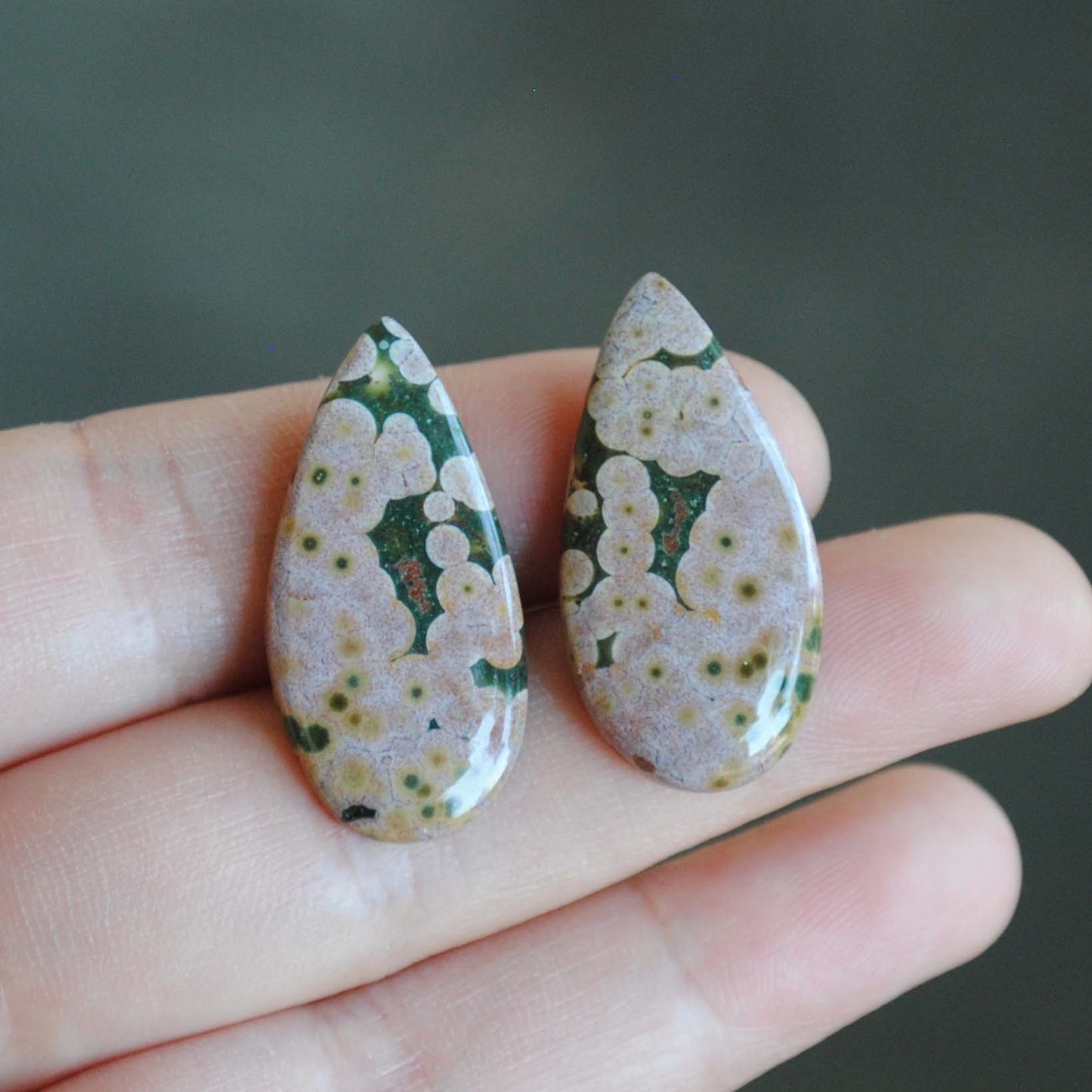 Ocean Jasper pair cabochons