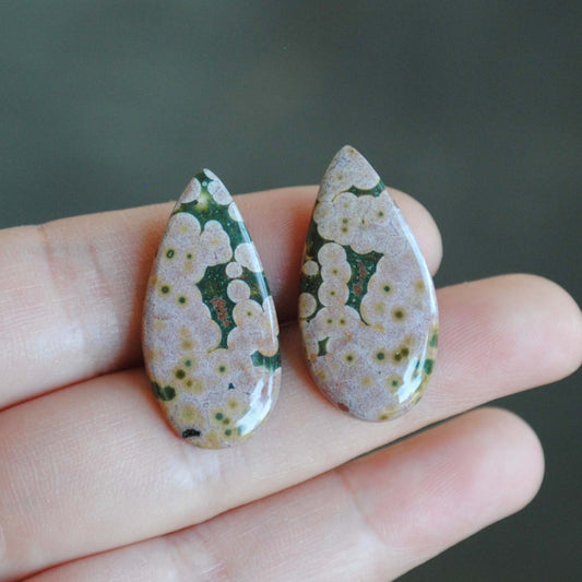 Ocean Jasper pair cabochons
