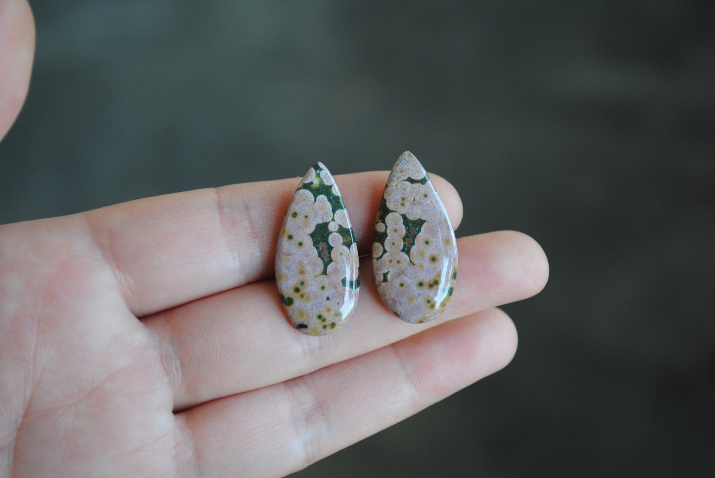 Ocean Jasper pair cabochons