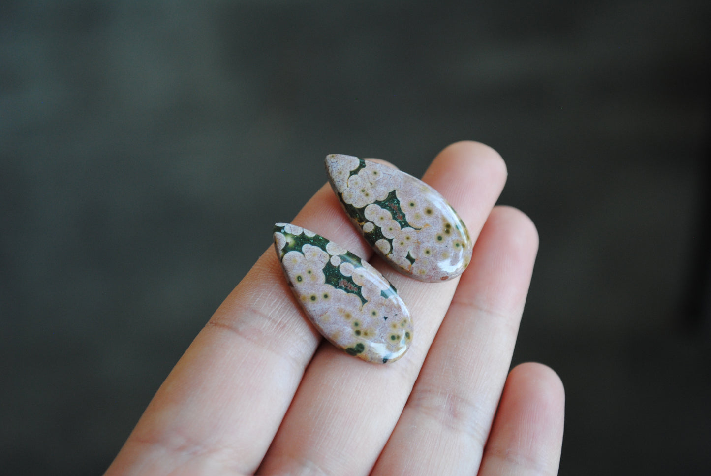 Ocean Jasper pair cabochons