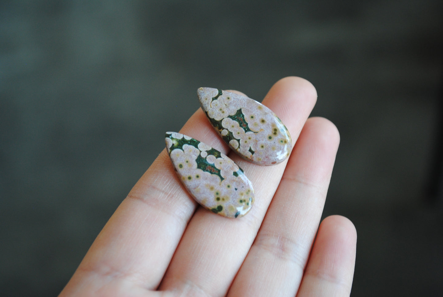 Ocean Jasper pair cabochons