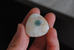 Ocean Jasper 25mm trillion cabochon