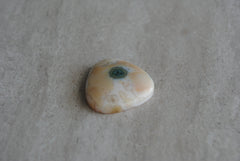 Ocean Jasper 25mm trillion cabochon