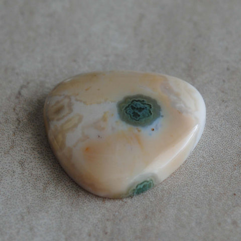 Ocean Jasper 25mm trillion cabochon