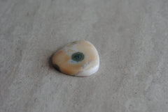 Ocean Jasper 25mm trillion cabochon
