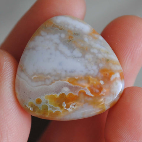 Ocean Jasper 25mm trillion cabochon