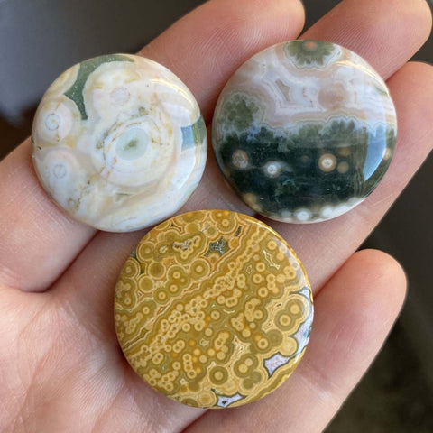 Round Ocean Jasper cabochons