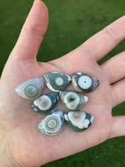 22x15mm Ocean Jasper cabochons