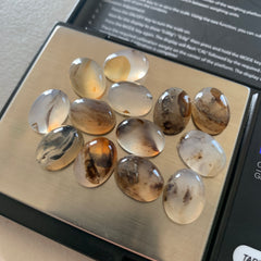 Dendrite agate cabochons