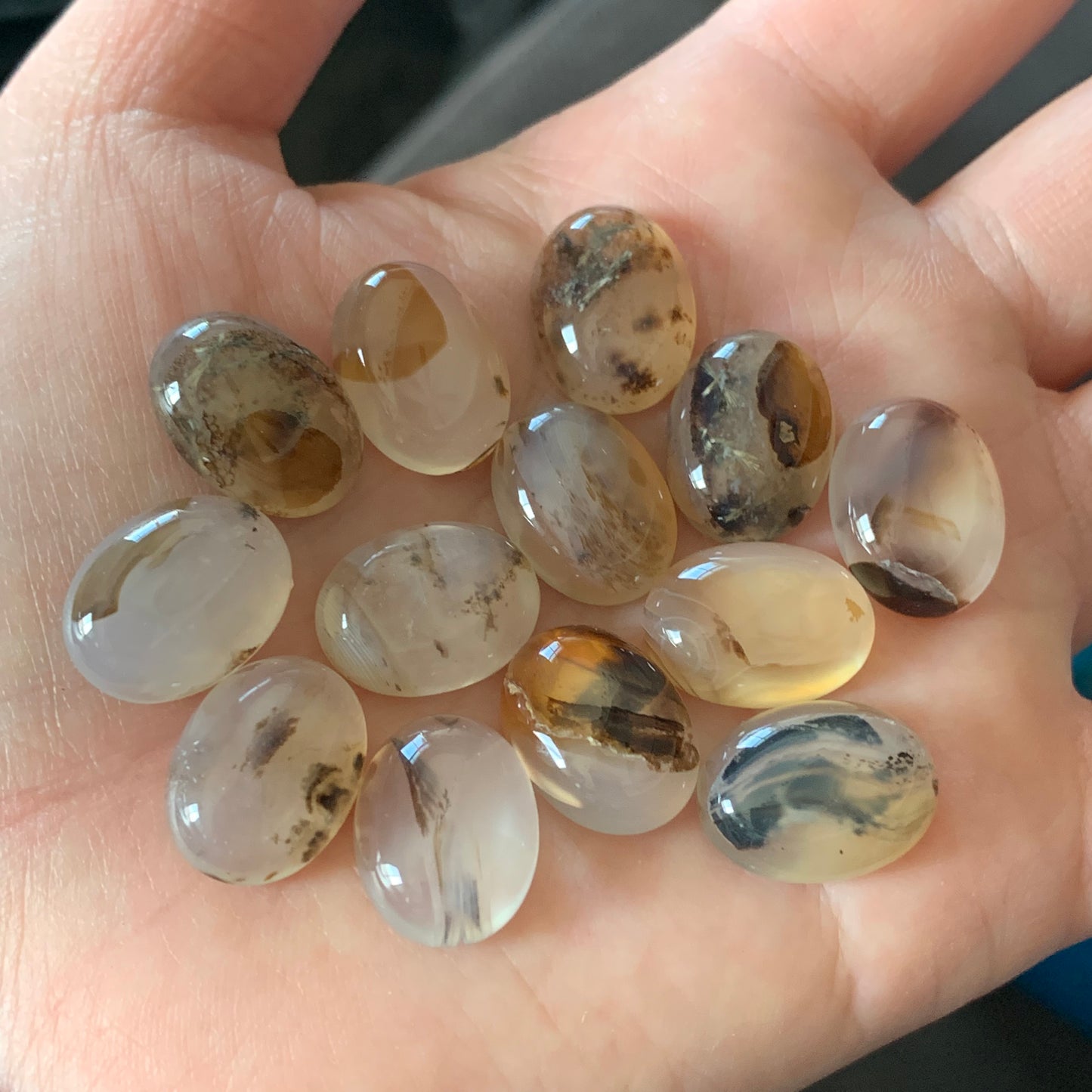 Dendrite agate cabochons