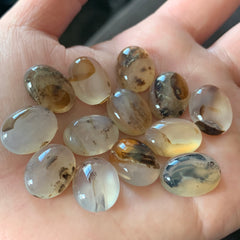 Dendrite agate cabochons