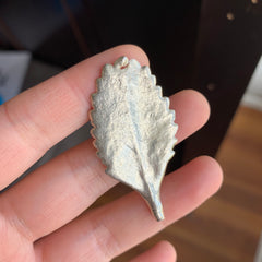 Sterling silver succulent leaf casting