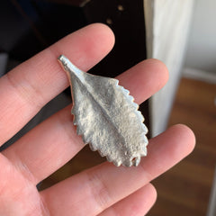 Sterling silver succulent leaf casting