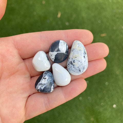 White Buffalo cabochons (lot B)