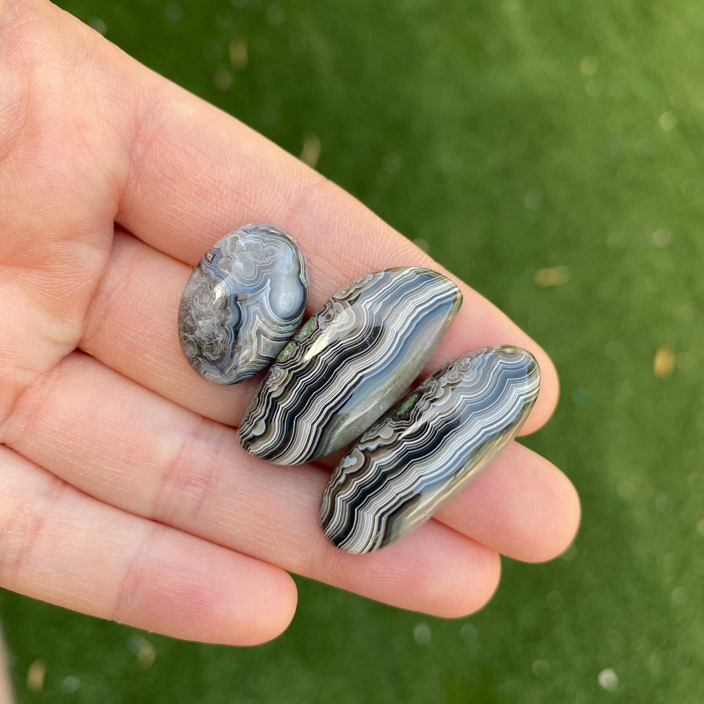 Lace agate cabochons