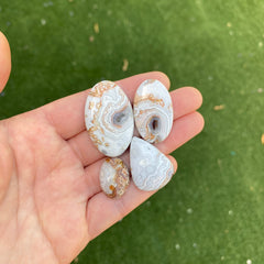 Crazy lace agate cabochons