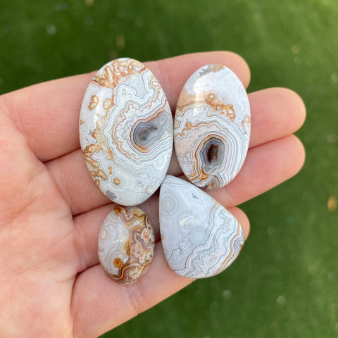 Crazy lace agate cabochons