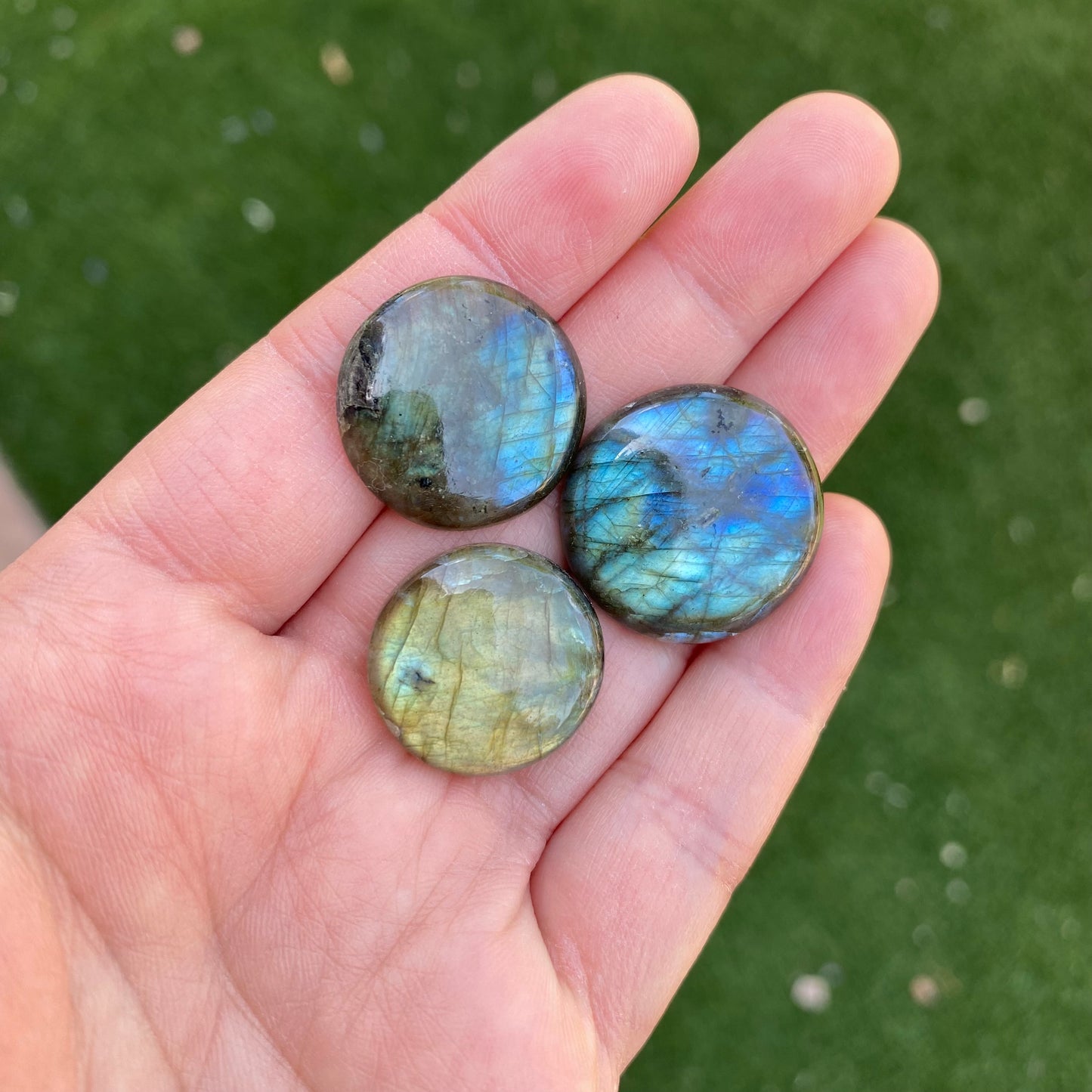Labradorite round cabochons
