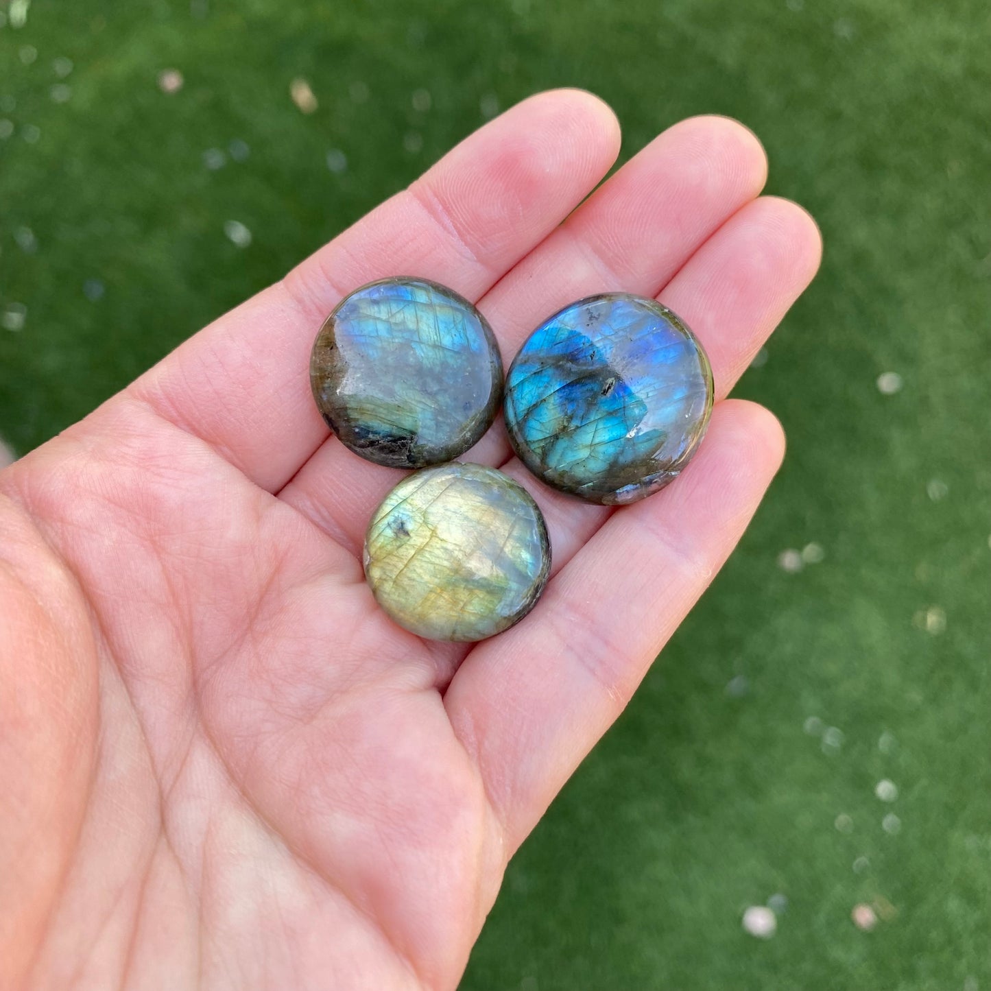 Labradorite round cabochons