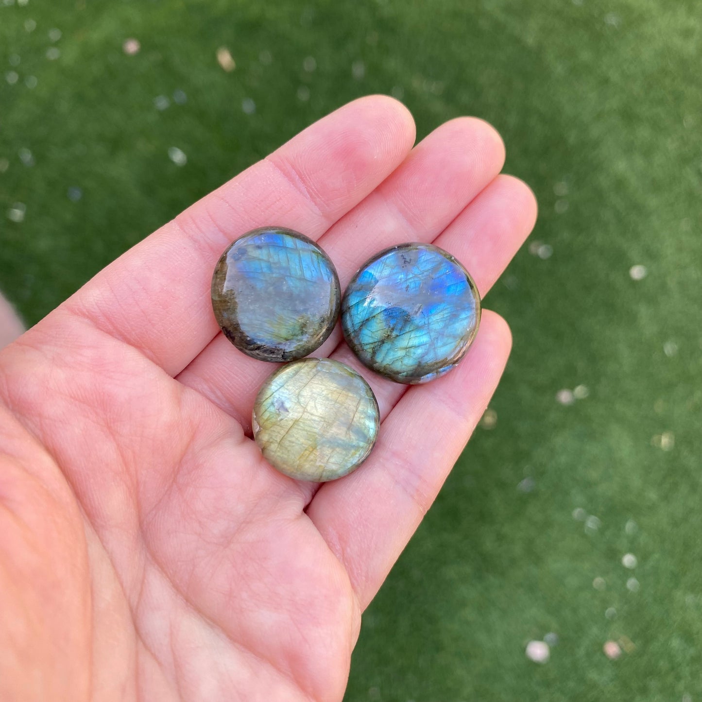 Labradorite round cabochons