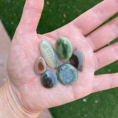 Imperial jasper cabochons
