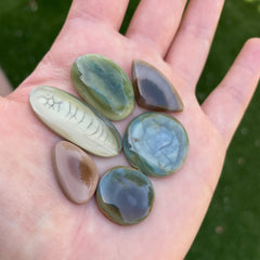 Imperial jasper cabochons