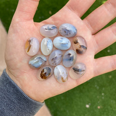 Dendrite agate cabochons (lot A)