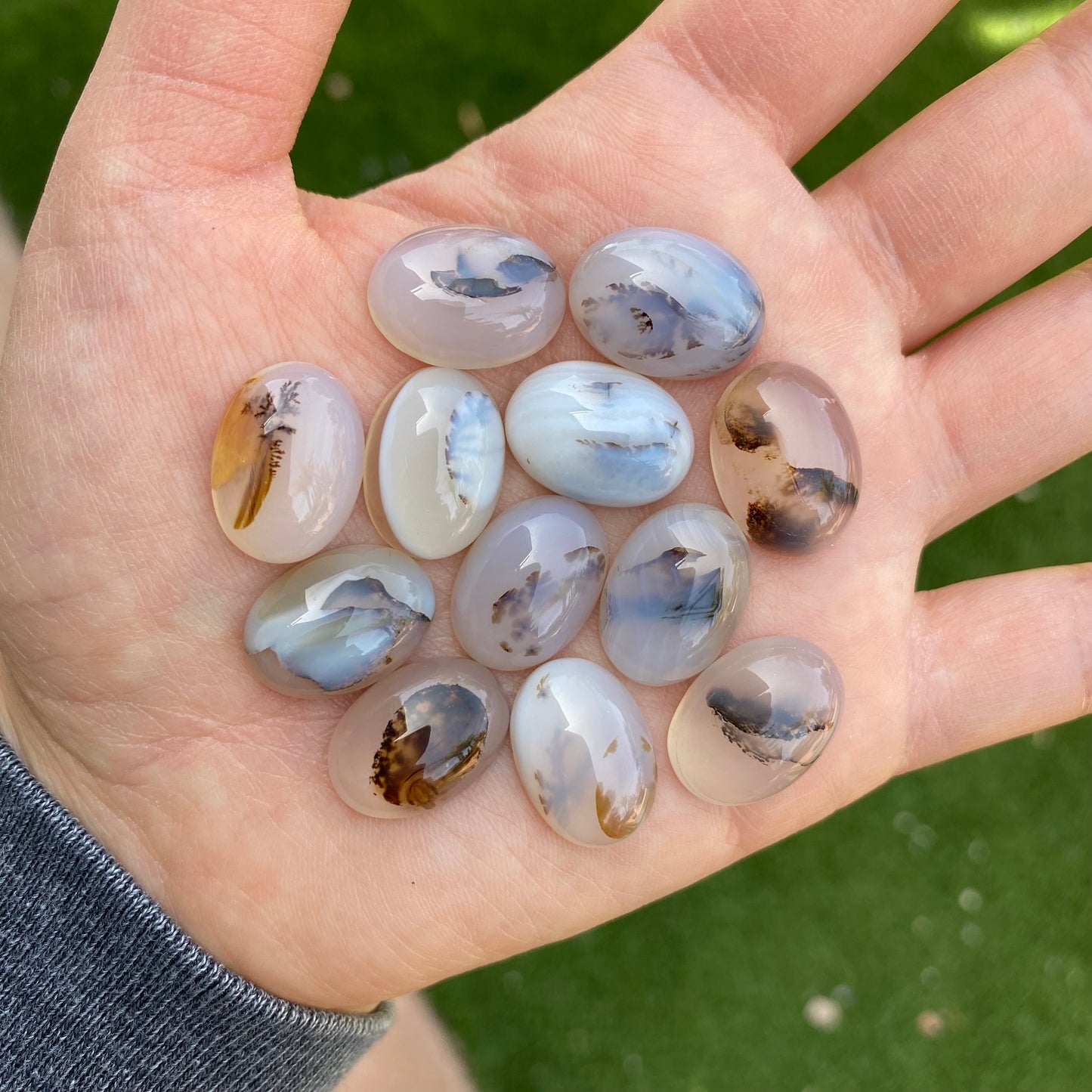 Dendrite agate cabochons (lot A)