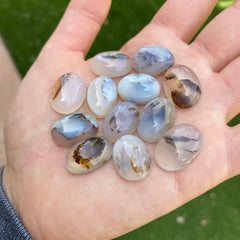 Dendrite agate cabochons (lot A)