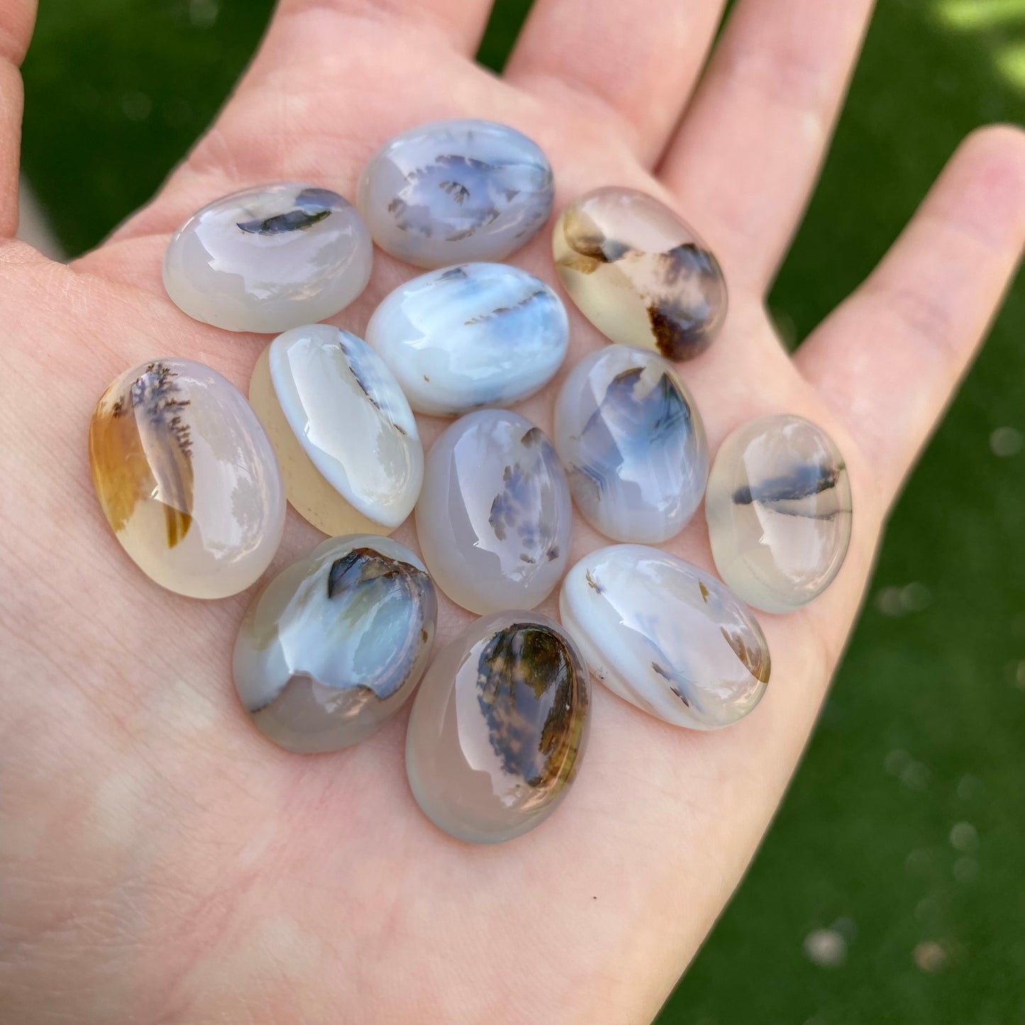 Dendrite agate cabochons (lot A)