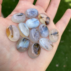 Dendrite agate cabochons (lot A)