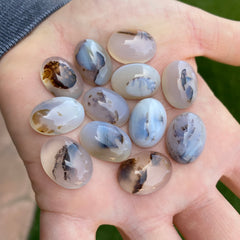 Dendrite agate cabochons (lot A)