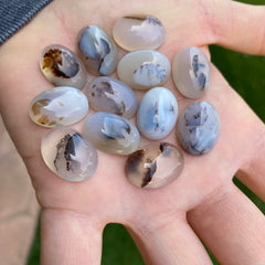 Dendrite agate cabochons (lot A)