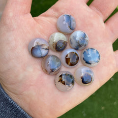 Dendrite agate cabochons 15mm rounds (lot C)