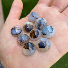 Dendrite agate cabochons 15mm rounds (lot C)