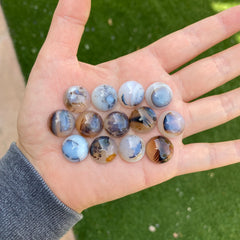 Dendrite agate cabochons 15mm rounds (lot D)